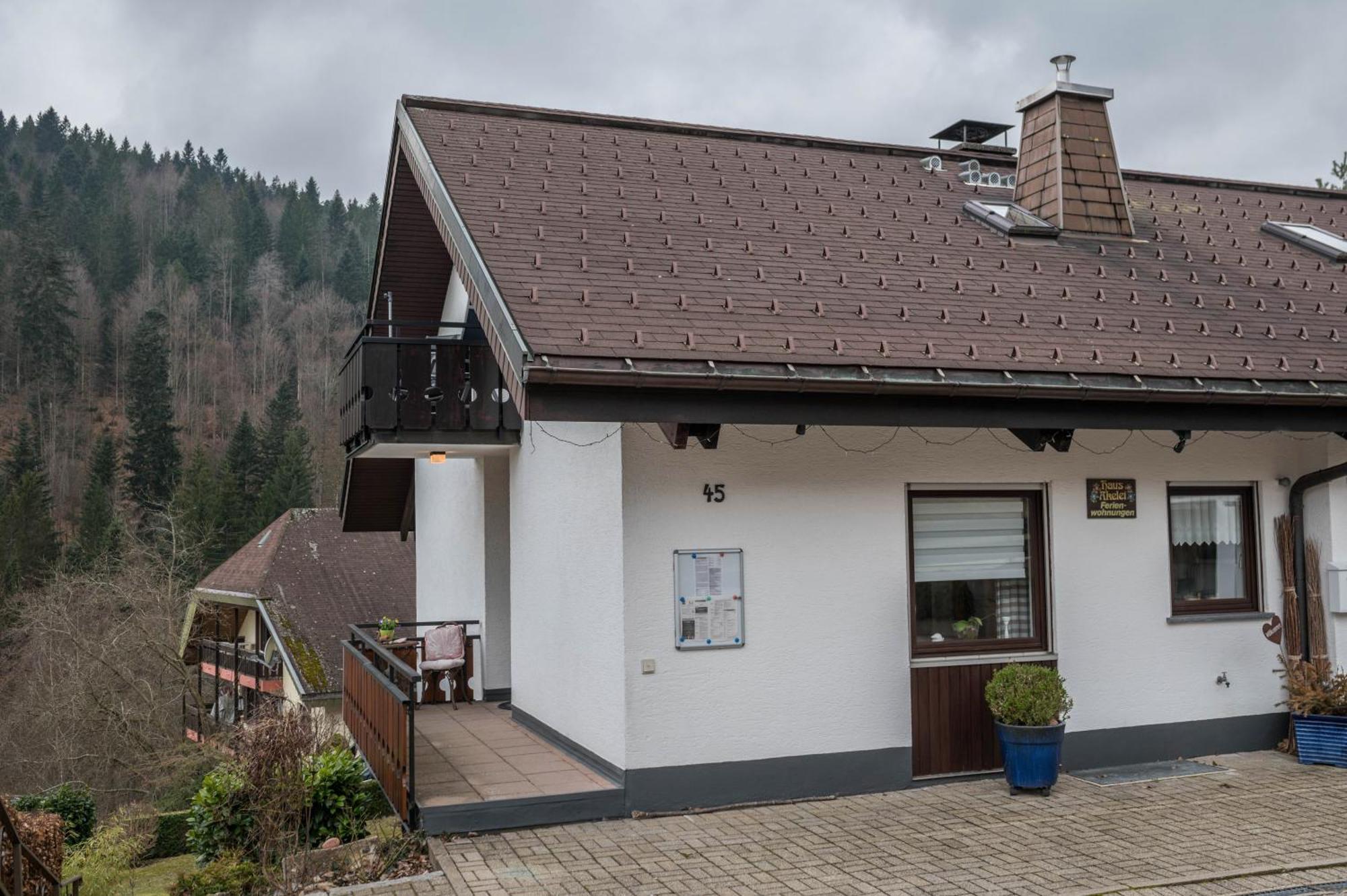 Appartement Haus Akelei à Todtmoos Extérieur photo