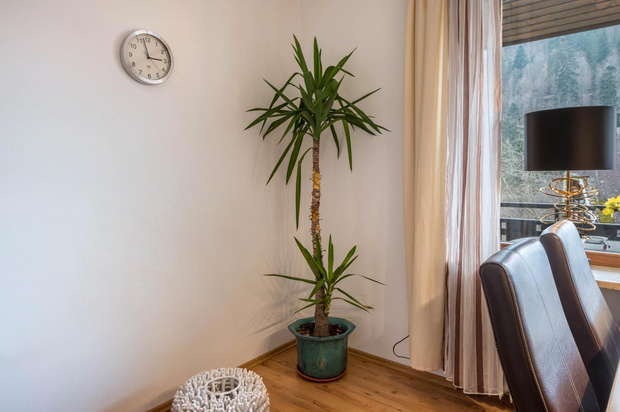 Appartement Haus Akelei à Todtmoos Extérieur photo